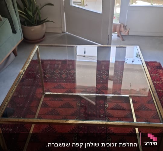 שולחן זכוכית על שטיח אדום ליד דלת זכוכית